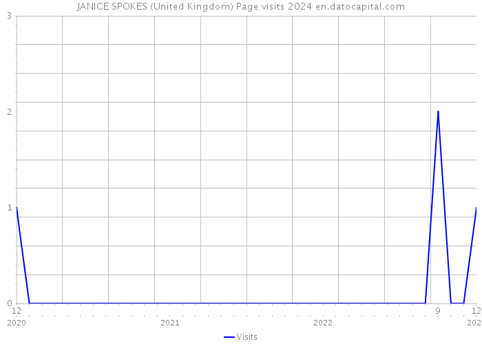 JANICE SPOKES (United Kingdom) Page visits 2024 