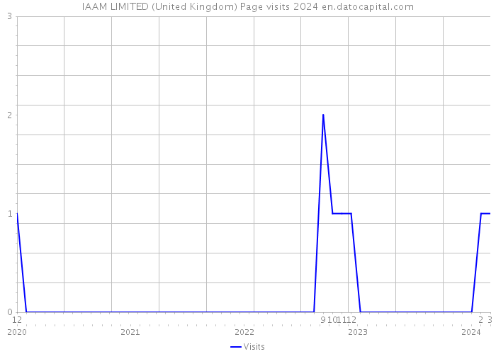 IAAM LIMITED (United Kingdom) Page visits 2024 