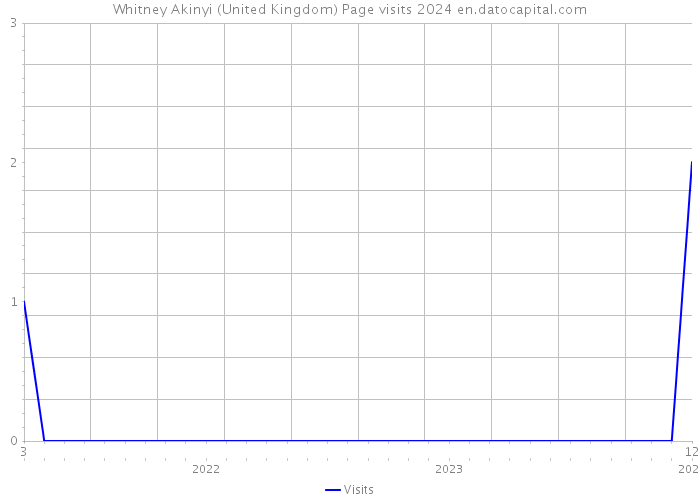 Whitney Akinyi (United Kingdom) Page visits 2024 