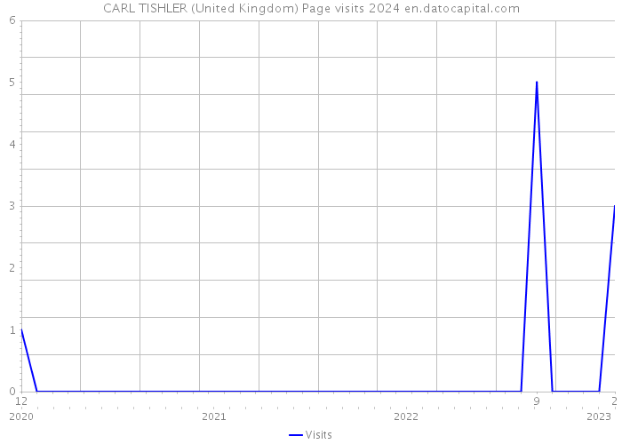 CARL TISHLER (United Kingdom) Page visits 2024 