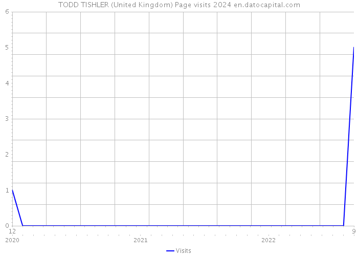 TODD TISHLER (United Kingdom) Page visits 2024 