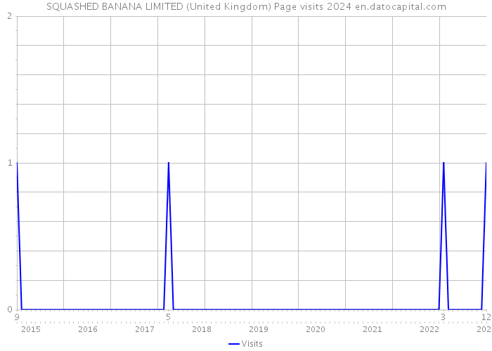 SQUASHED BANANA LIMITED (United Kingdom) Page visits 2024 
