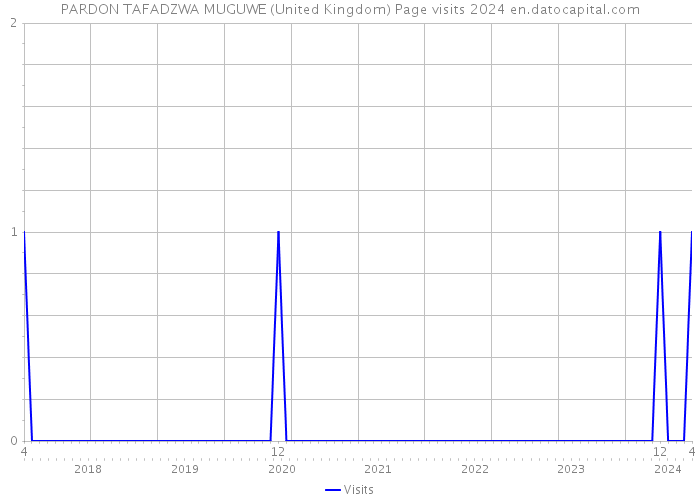 PARDON TAFADZWA MUGUWE (United Kingdom) Page visits 2024 