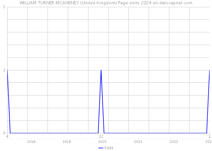 WILLIAM TURNER MCANENEY (United Kingdom) Page visits 2024 