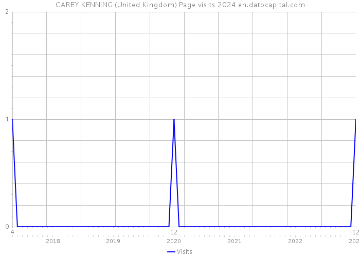CAREY KENNING (United Kingdom) Page visits 2024 