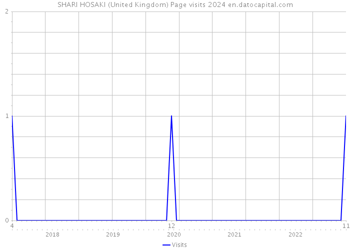 SHARI HOSAKI (United Kingdom) Page visits 2024 
