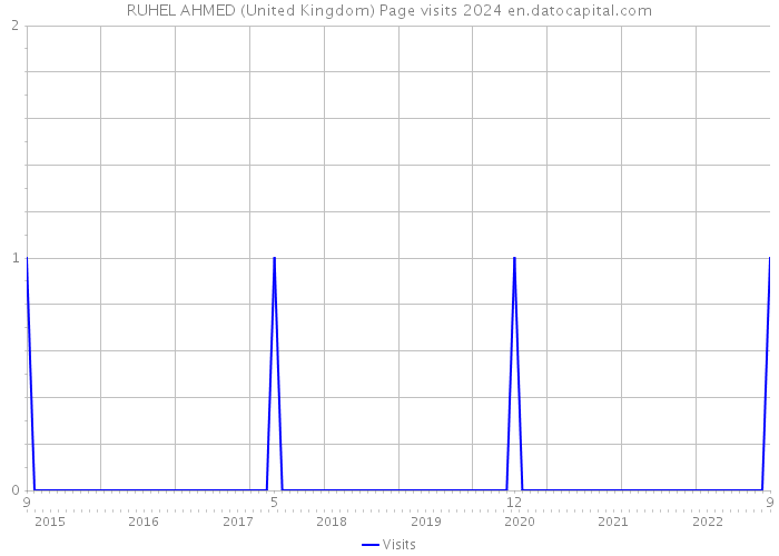 RUHEL AHMED (United Kingdom) Page visits 2024 