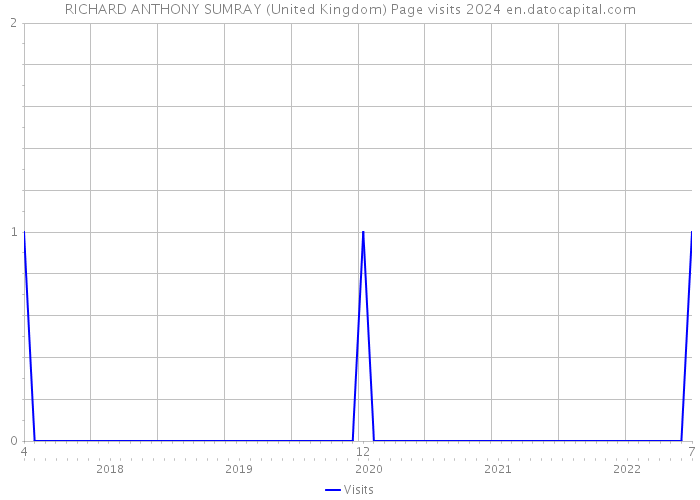 RICHARD ANTHONY SUMRAY (United Kingdom) Page visits 2024 