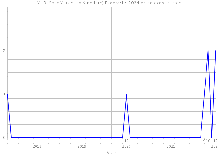 MURI SALAMI (United Kingdom) Page visits 2024 