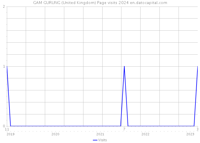 GAM GURUNG (United Kingdom) Page visits 2024 