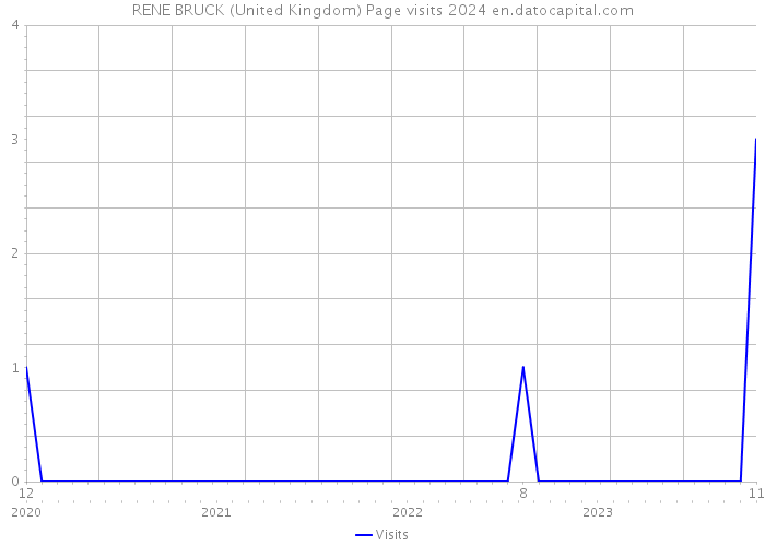 RENE BRUCK (United Kingdom) Page visits 2024 