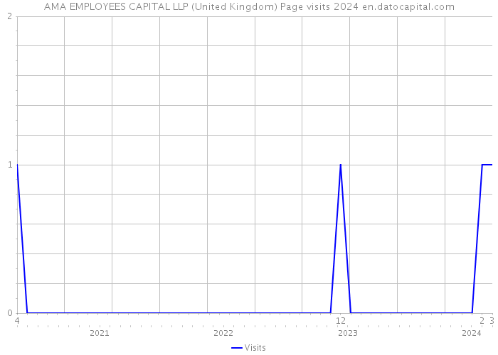 AMA EMPLOYEES CAPITAL LLP (United Kingdom) Page visits 2024 