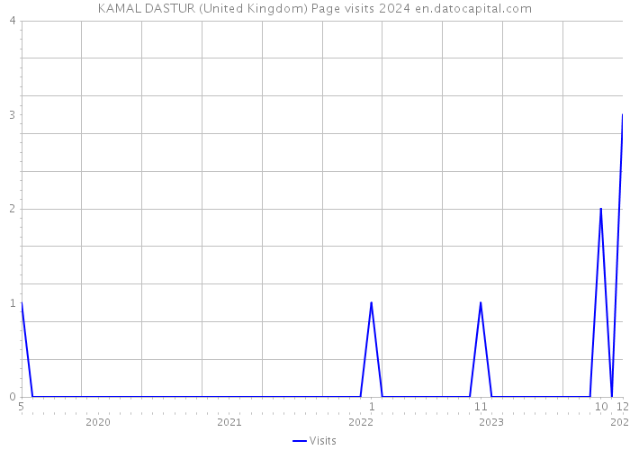 KAMAL DASTUR (United Kingdom) Page visits 2024 