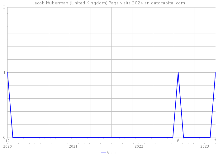 Jacob Huberman (United Kingdom) Page visits 2024 