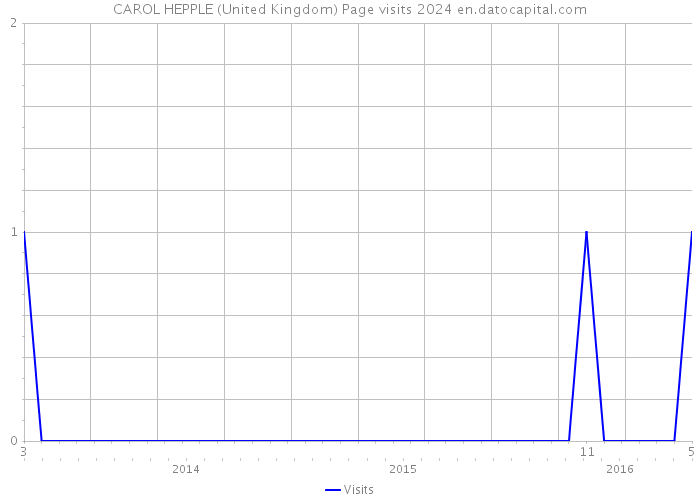 CAROL HEPPLE (United Kingdom) Page visits 2024 