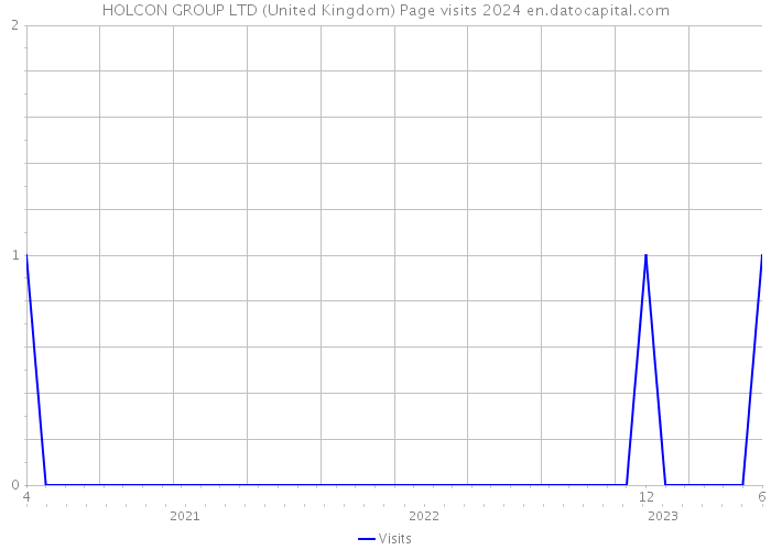 HOLCON GROUP LTD (United Kingdom) Page visits 2024 
