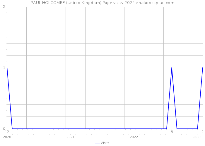 PAUL HOLCOMBE (United Kingdom) Page visits 2024 