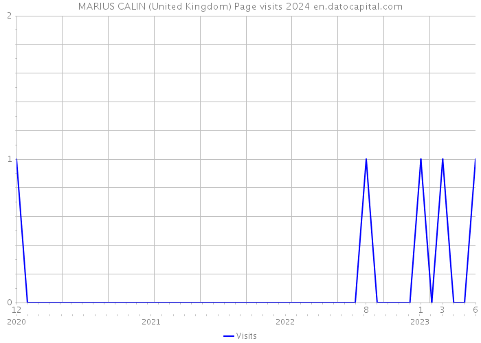 MARIUS CALIN (United Kingdom) Page visits 2024 