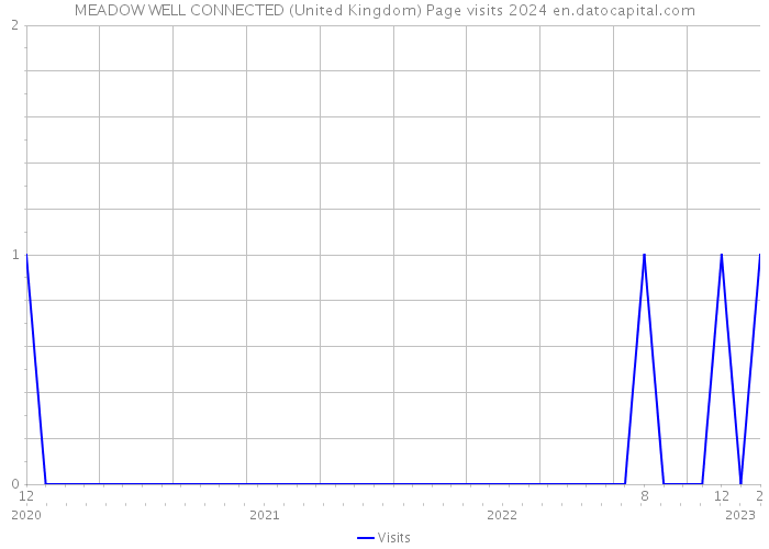 MEADOW WELL CONNECTED (United Kingdom) Page visits 2024 
