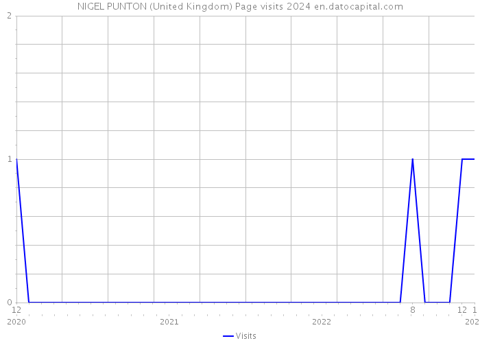 NIGEL PUNTON (United Kingdom) Page visits 2024 