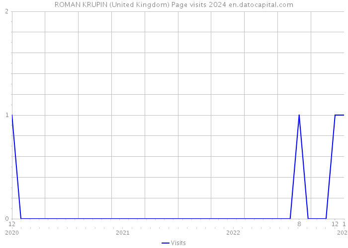 ROMAN KRUPIN (United Kingdom) Page visits 2024 