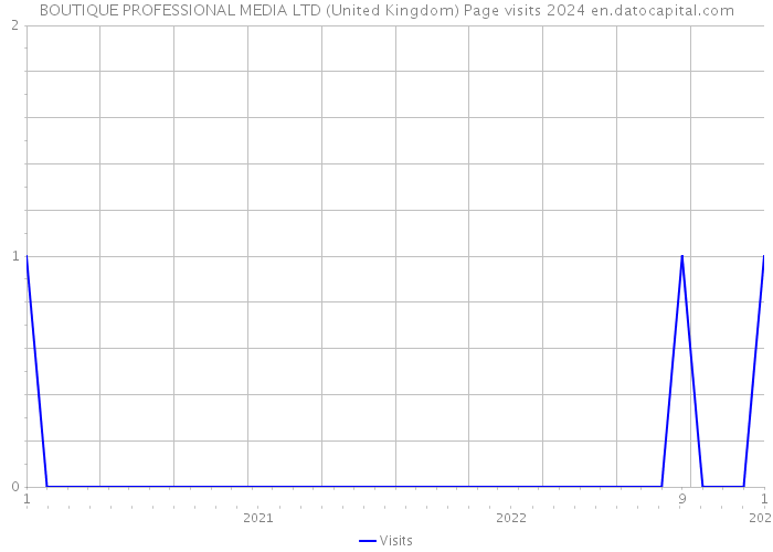 BOUTIQUE PROFESSIONAL MEDIA LTD (United Kingdom) Page visits 2024 