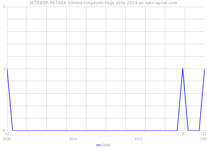 JATINDER PATARA (United Kingdom) Page visits 2024 