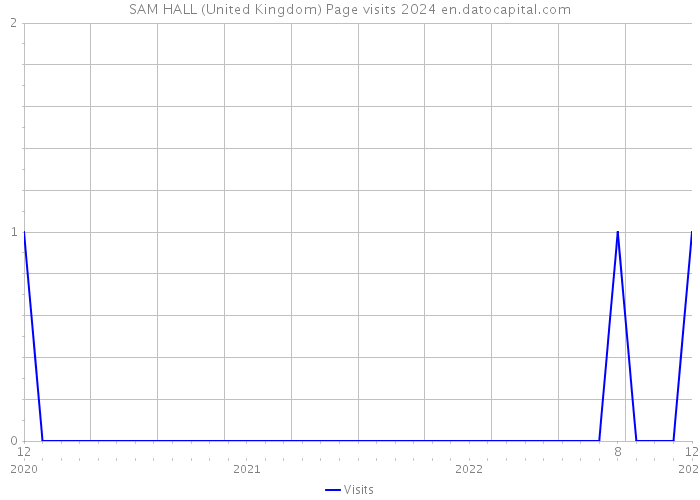 SAM HALL (United Kingdom) Page visits 2024 