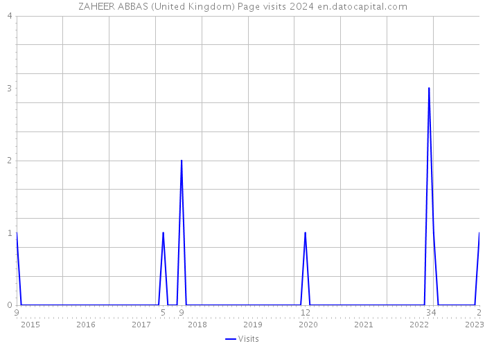 ZAHEER ABBAS (United Kingdom) Page visits 2024 