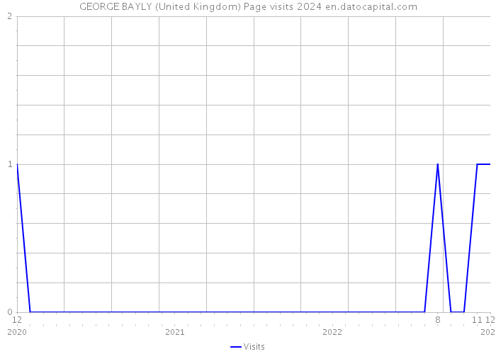 GEORGE BAYLY (United Kingdom) Page visits 2024 