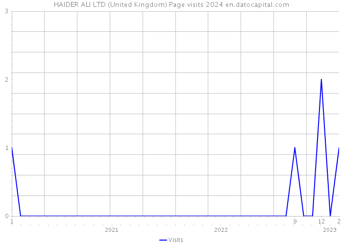 HAIDER ALI LTD (United Kingdom) Page visits 2024 