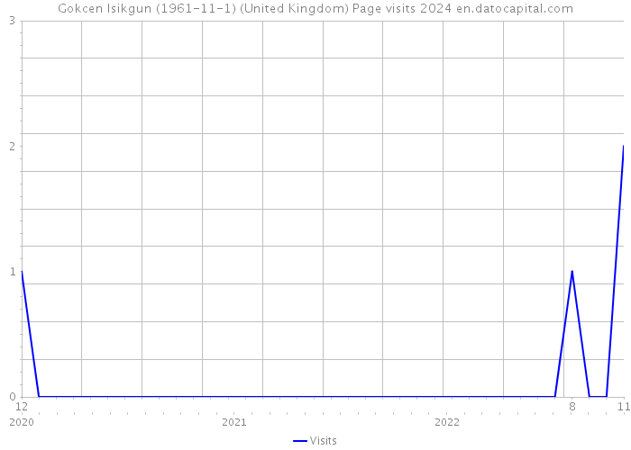 Gokcen Isikgun (1961-11-1) (United Kingdom) Page visits 2024 