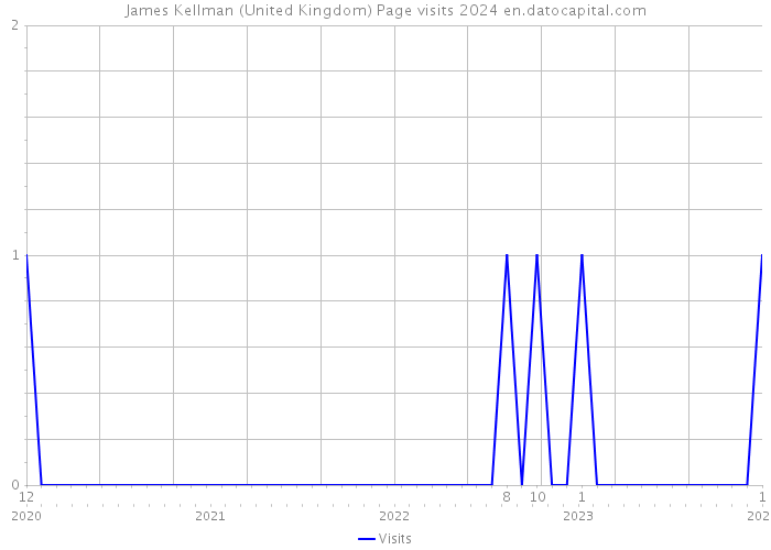 James Kellman (United Kingdom) Page visits 2024 