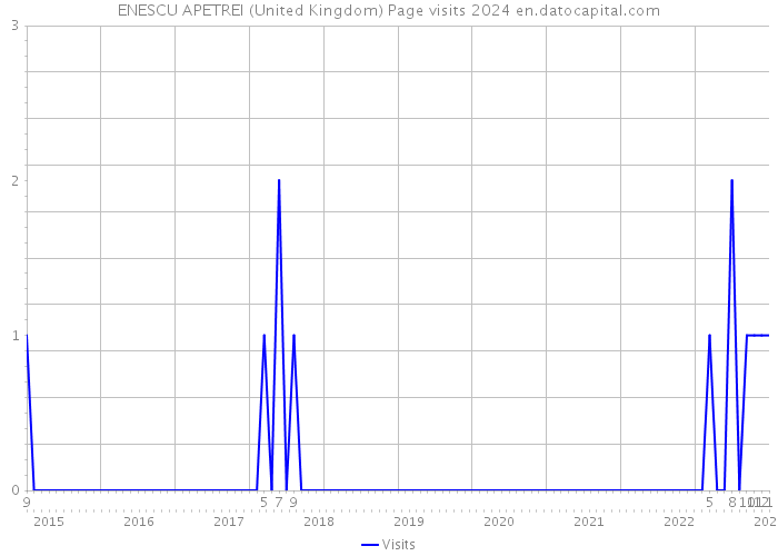 ENESCU APETREI (United Kingdom) Page visits 2024 