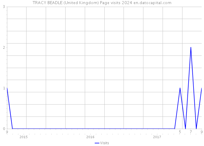 TRACY BEADLE (United Kingdom) Page visits 2024 