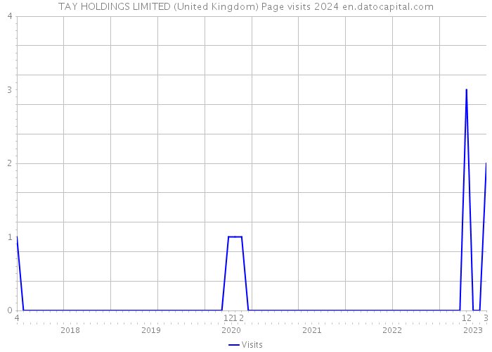 TAY HOLDINGS LIMITED (United Kingdom) Page visits 2024 