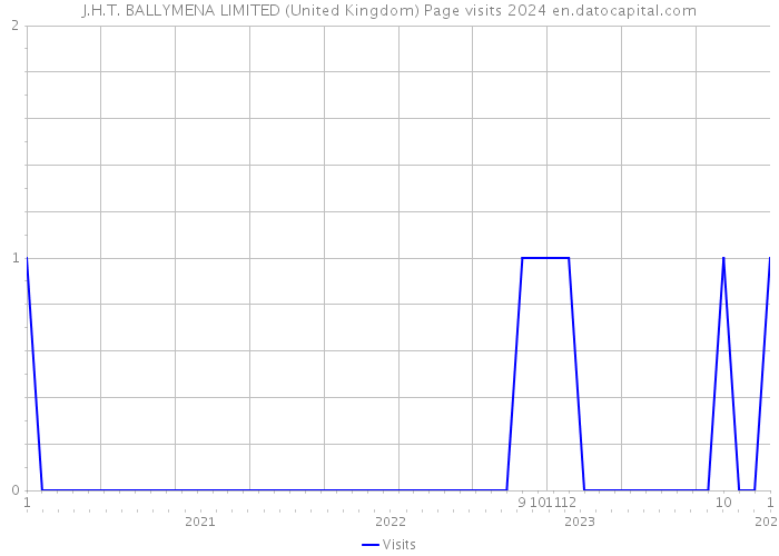 J.H.T. BALLYMENA LIMITED (United Kingdom) Page visits 2024 