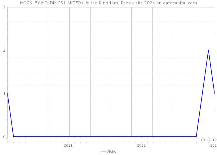 HOCKLEY HOLDINGS LIMITED (United Kingdom) Page visits 2024 