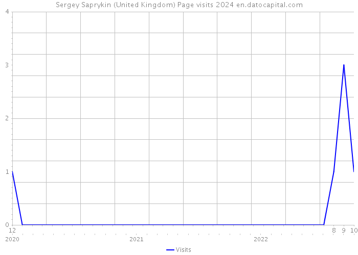 Sergey Saprykin (United Kingdom) Page visits 2024 