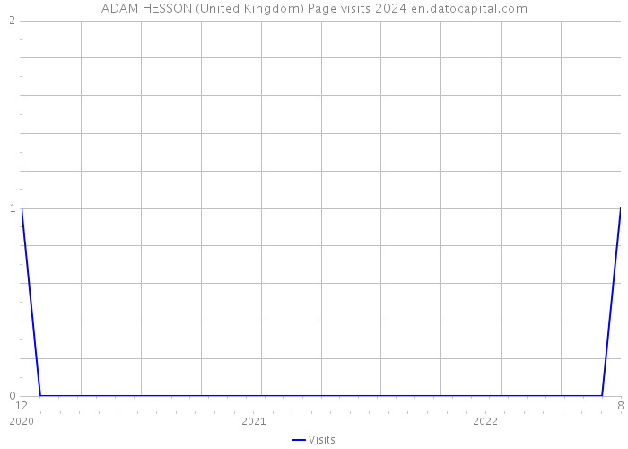 ADAM HESSON (United Kingdom) Page visits 2024 