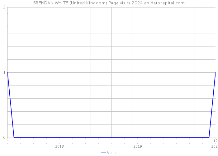 BRENDAN WHITE (United Kingdom) Page visits 2024 