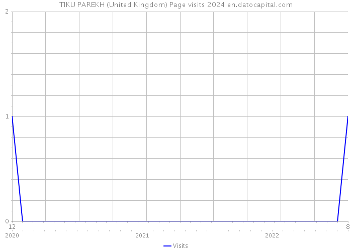 TIKU PAREKH (United Kingdom) Page visits 2024 