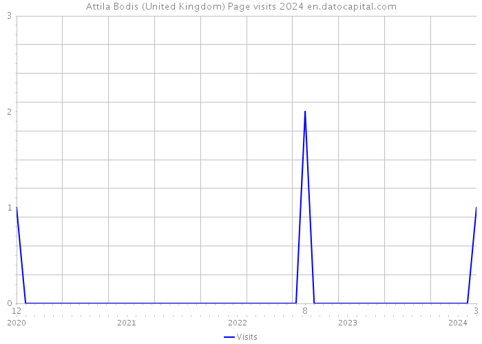 Attila Bodis (United Kingdom) Page visits 2024 