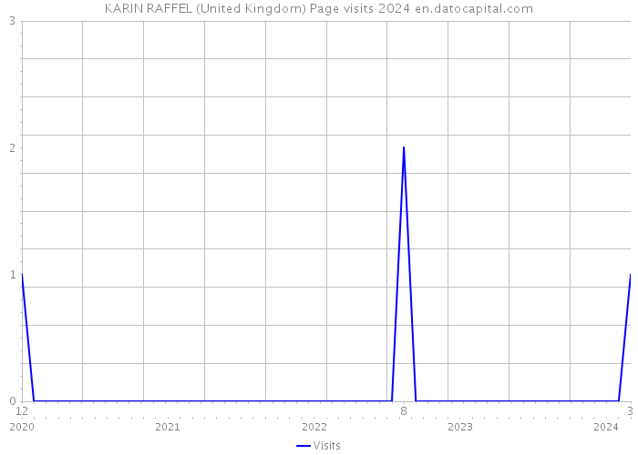 KARIN RAFFEL (United Kingdom) Page visits 2024 