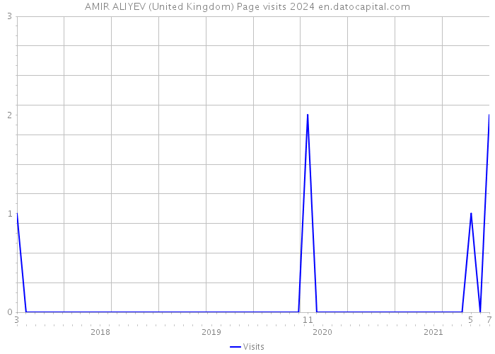 AMIR ALIYEV (United Kingdom) Page visits 2024 