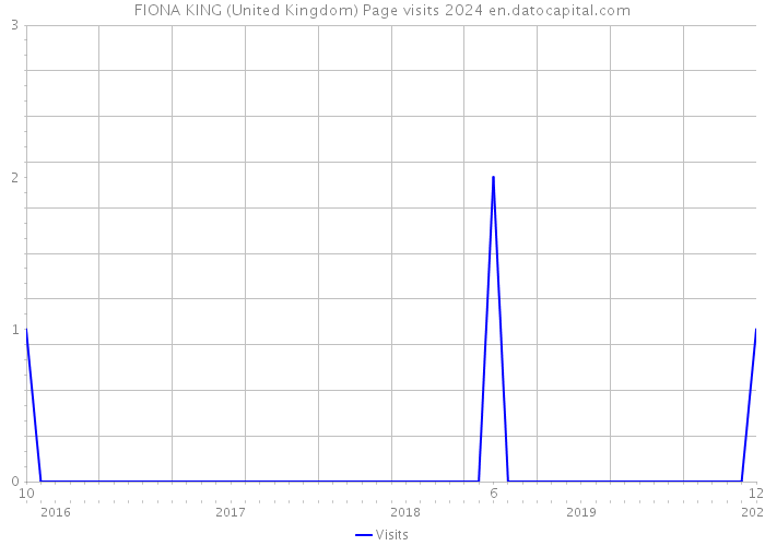 FIONA KING (United Kingdom) Page visits 2024 