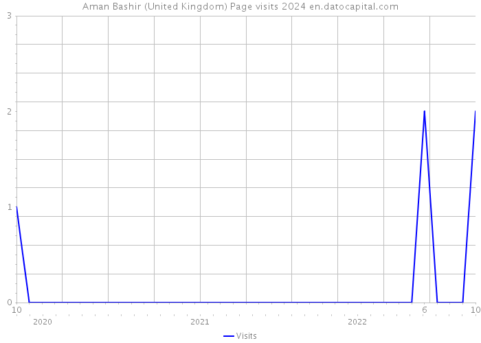 Aman Bashir (United Kingdom) Page visits 2024 