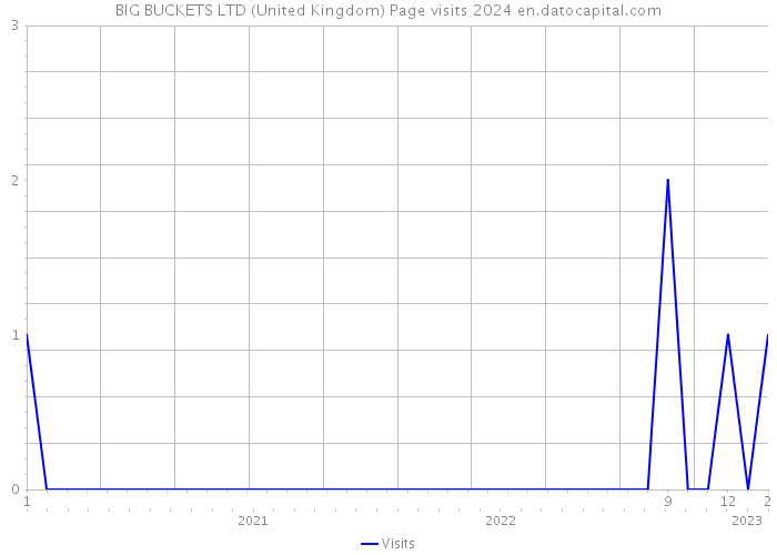 BIG BUCKETS LTD (United Kingdom) Page visits 2024 
