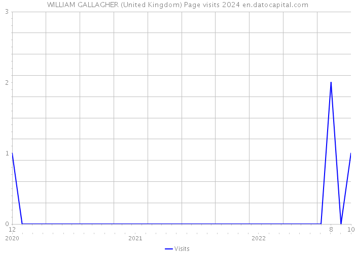 WILLIAM GALLAGHER (United Kingdom) Page visits 2024 