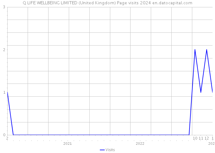 Q LIFE WELLBEING LIMITED (United Kingdom) Page visits 2024 